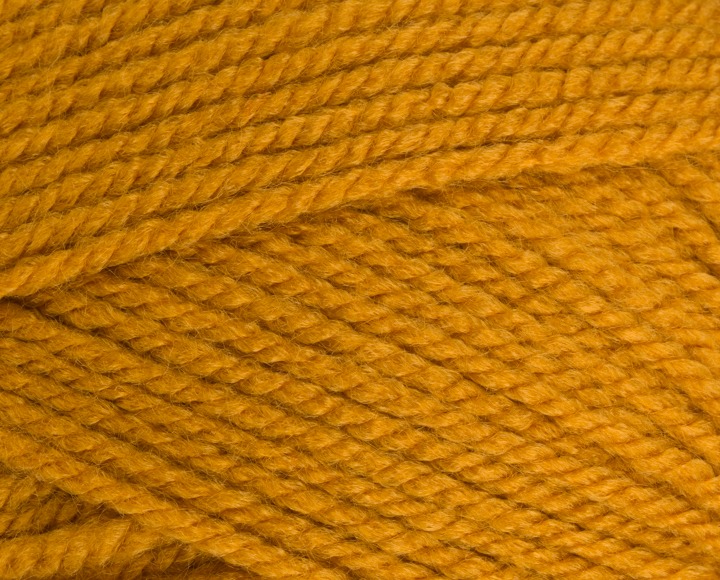 Stylecraft Special Aran Gold 100g